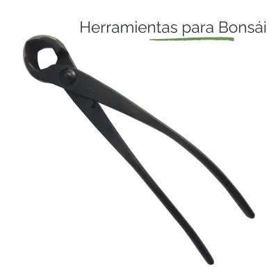 Herramientas para Bonsái